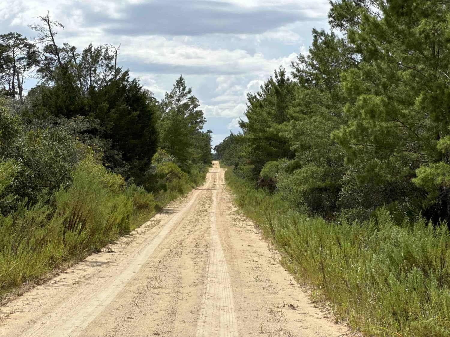 Barbarossa Trail - ONF 54