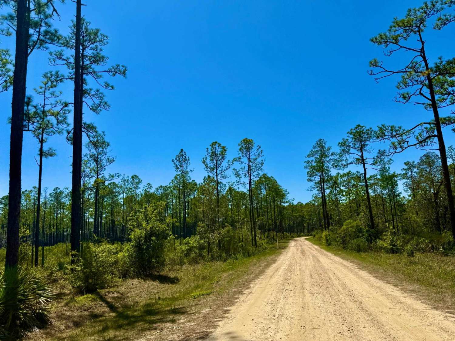 Hickory Landing - FS 101B