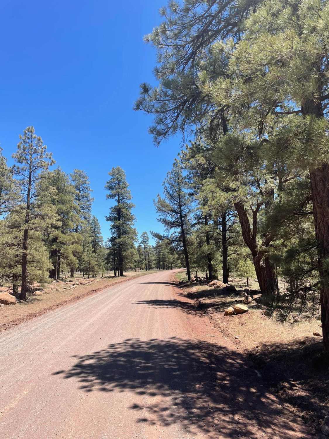 Stoneman Lake Road 