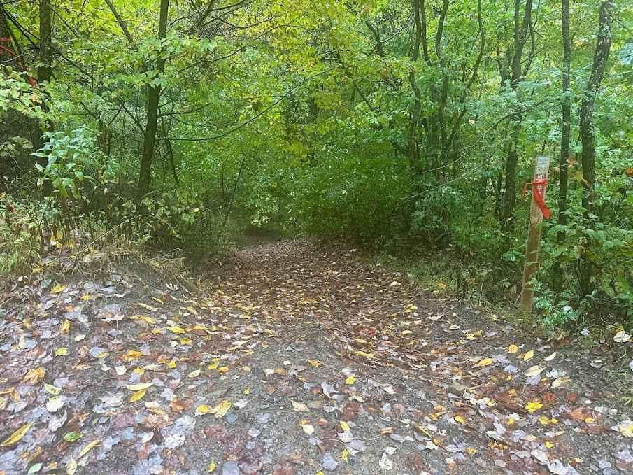 178 Single Track