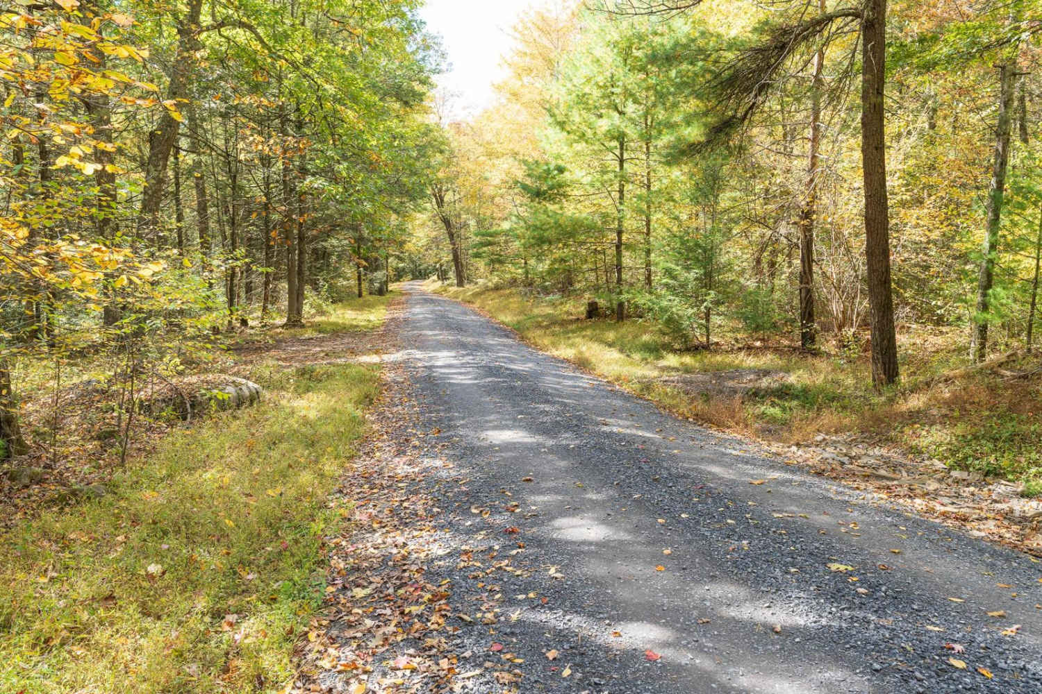 Rag Hollow Road