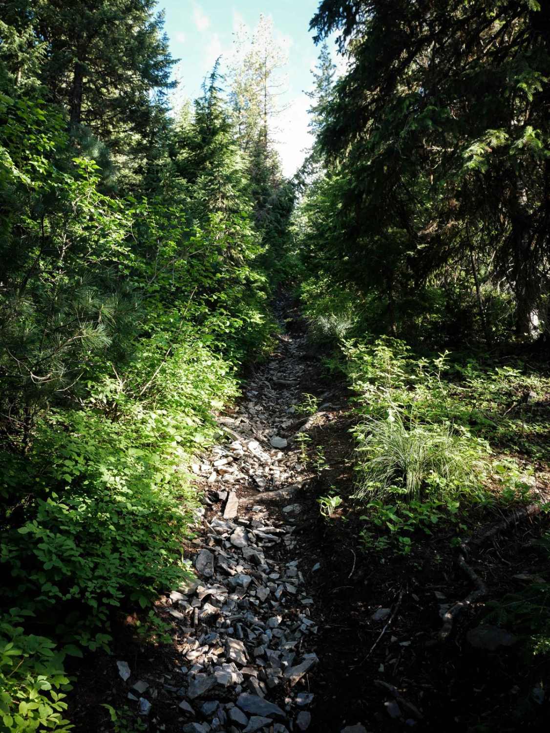 Elsie Peak 