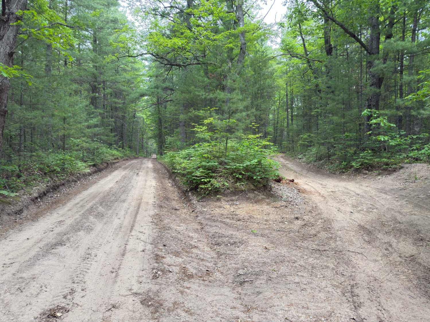 Buckley - Dubbonet Connector