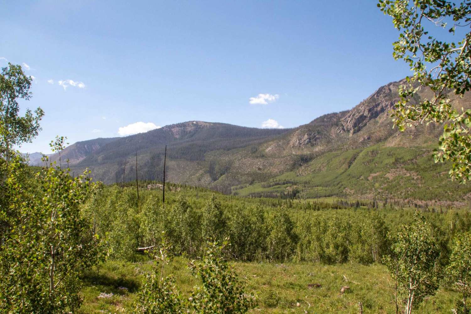 East Fork Bear River