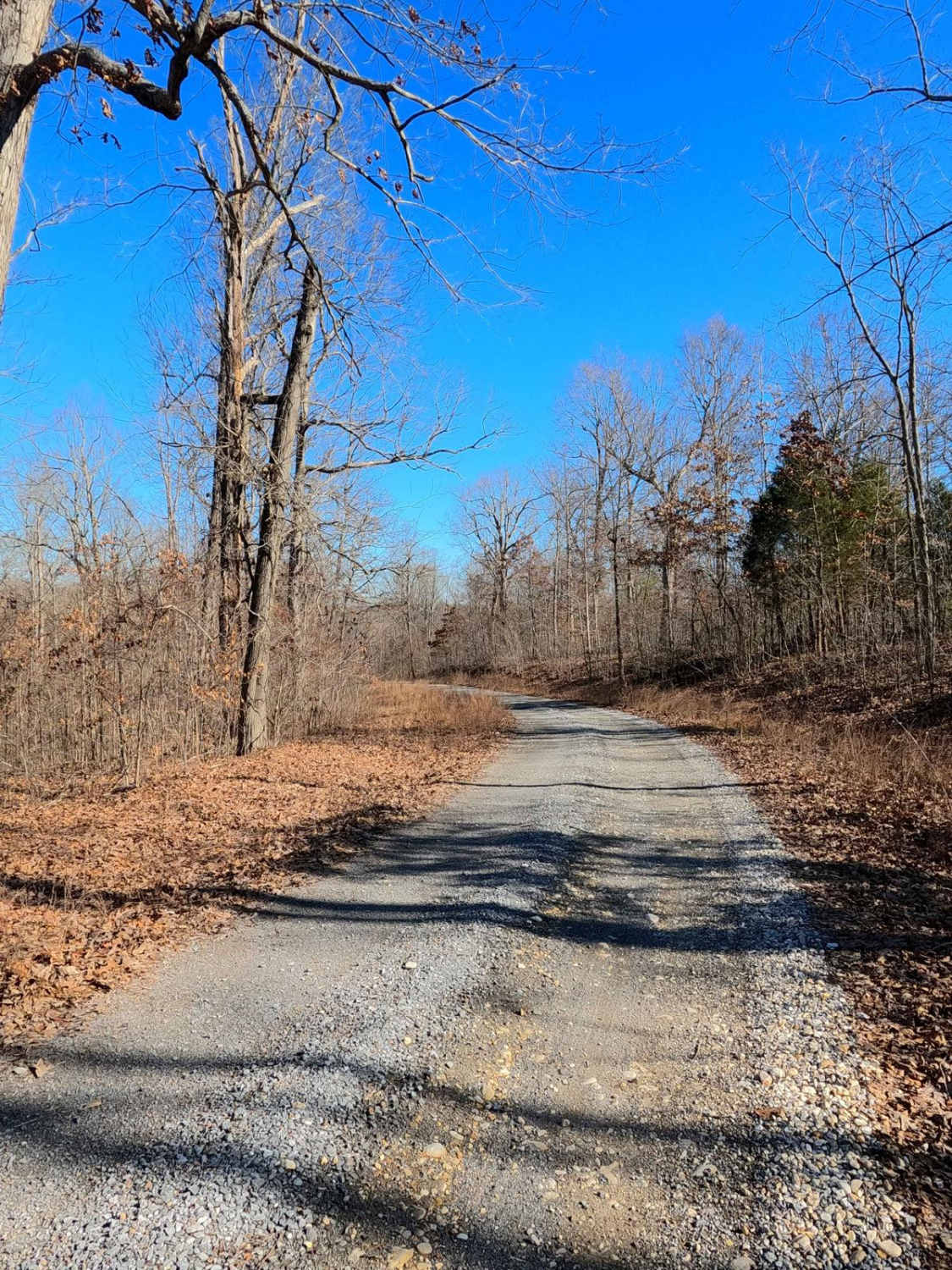 Roger's Road - FS 113