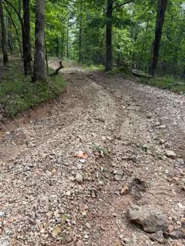 Whitley's Trail