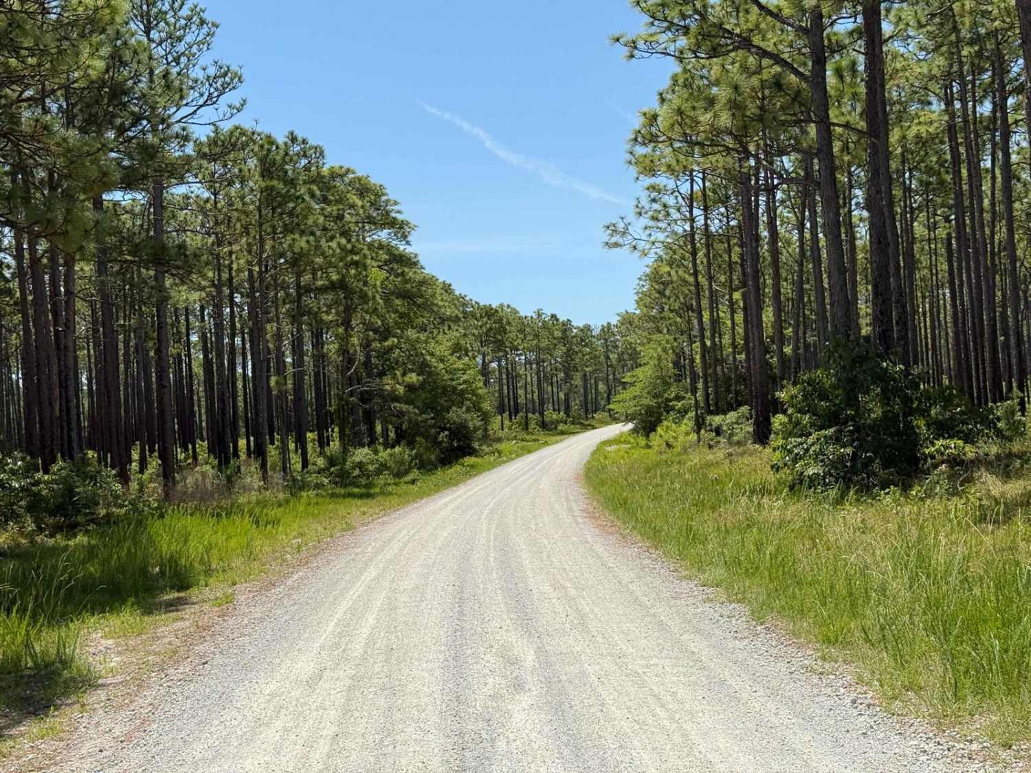 Pringle Road - FS 123