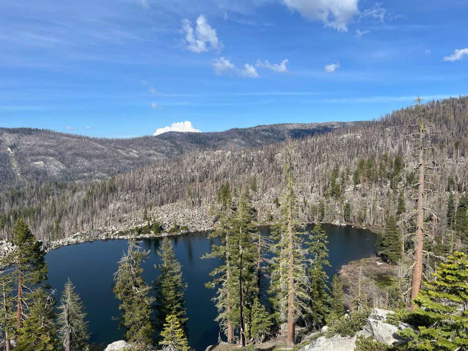 Cody Lake
