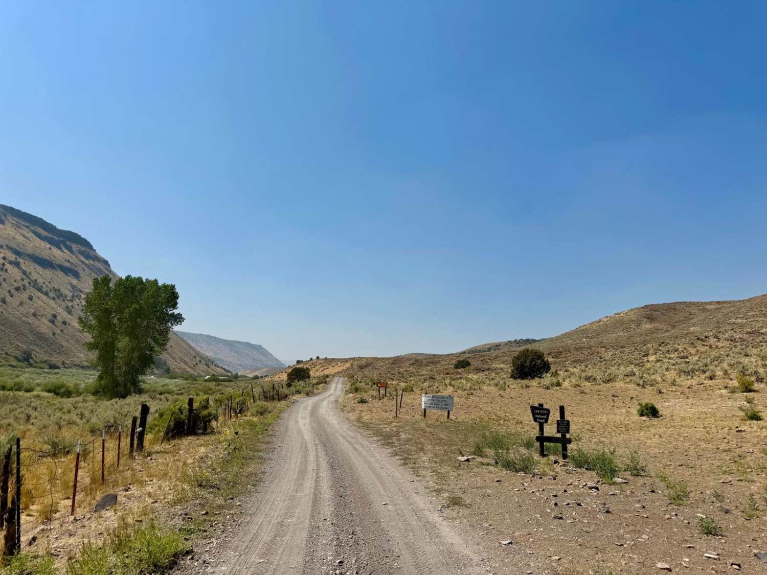 Trapper Creek - FS533