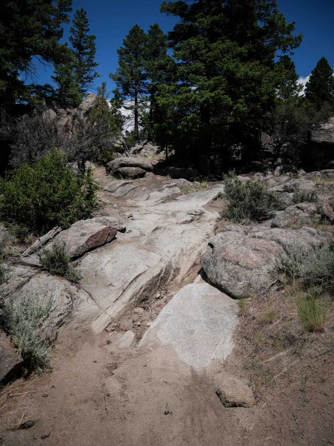 BLM 20 