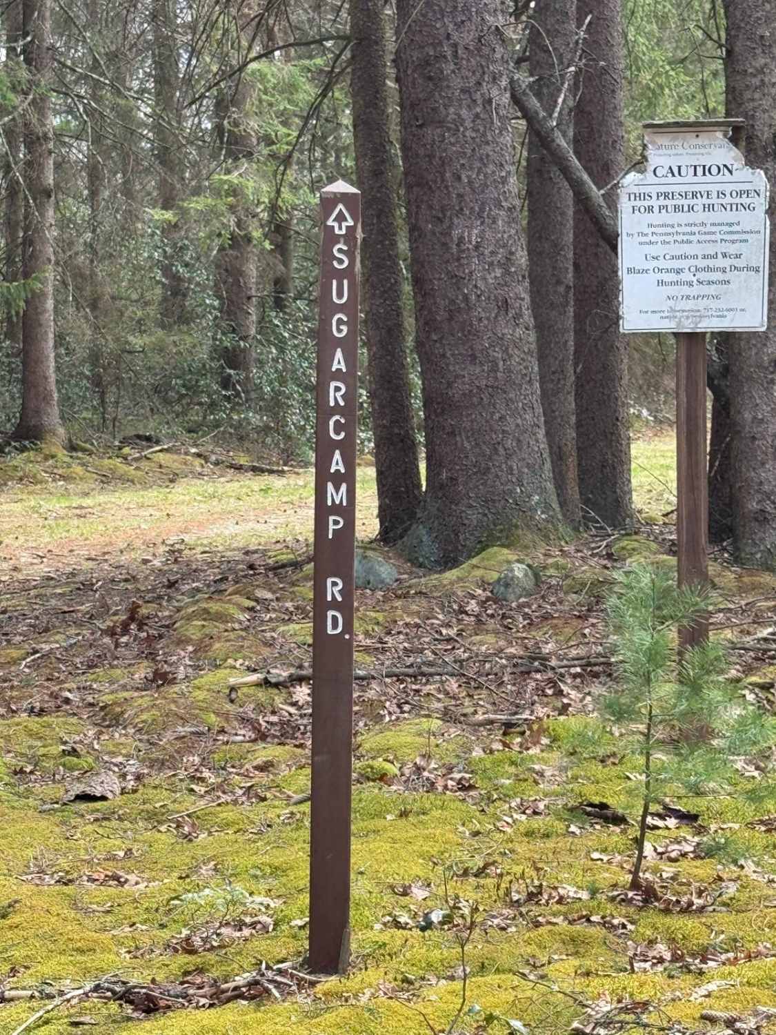 Sugar Camp Road