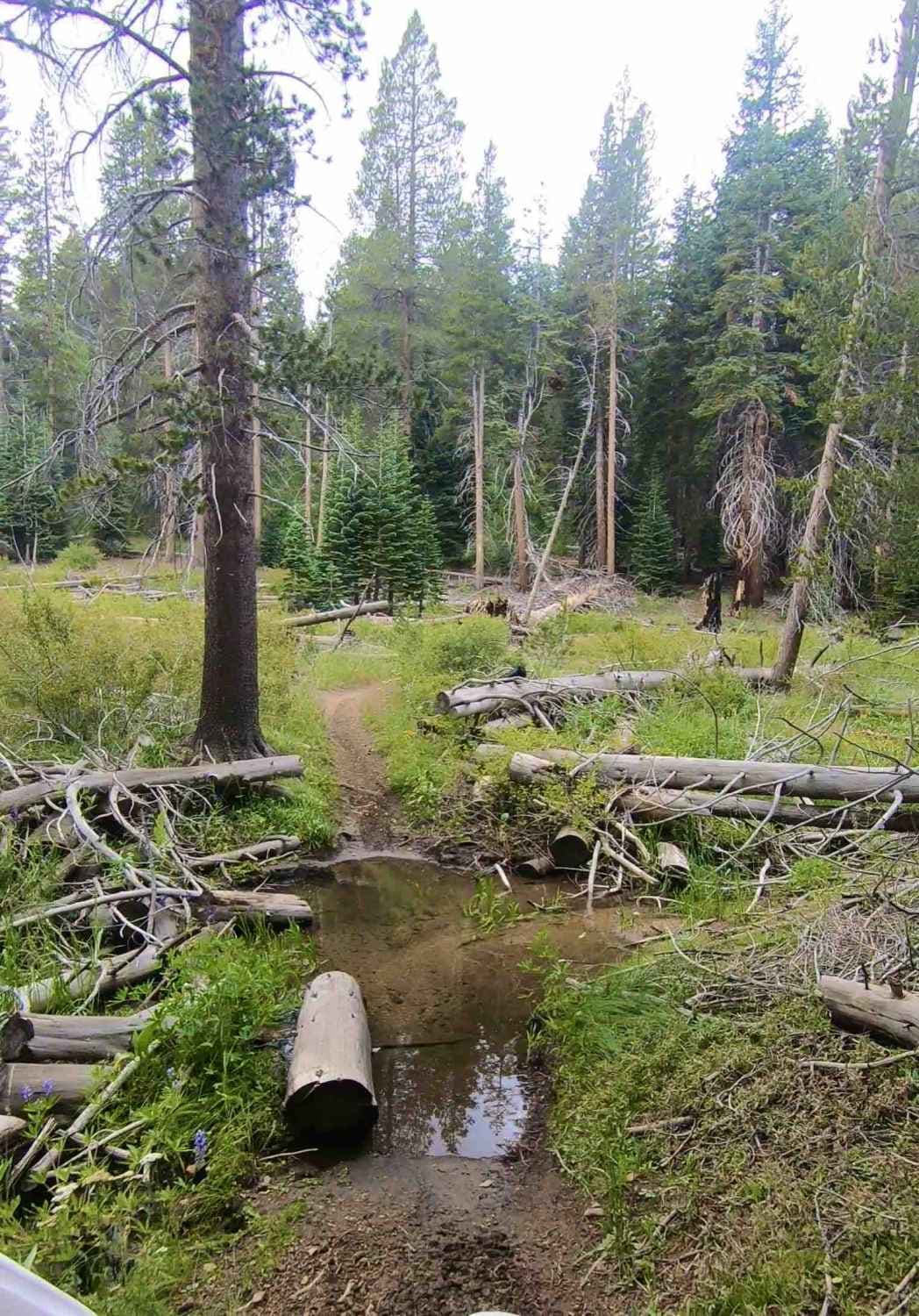 Trout Creek Trail