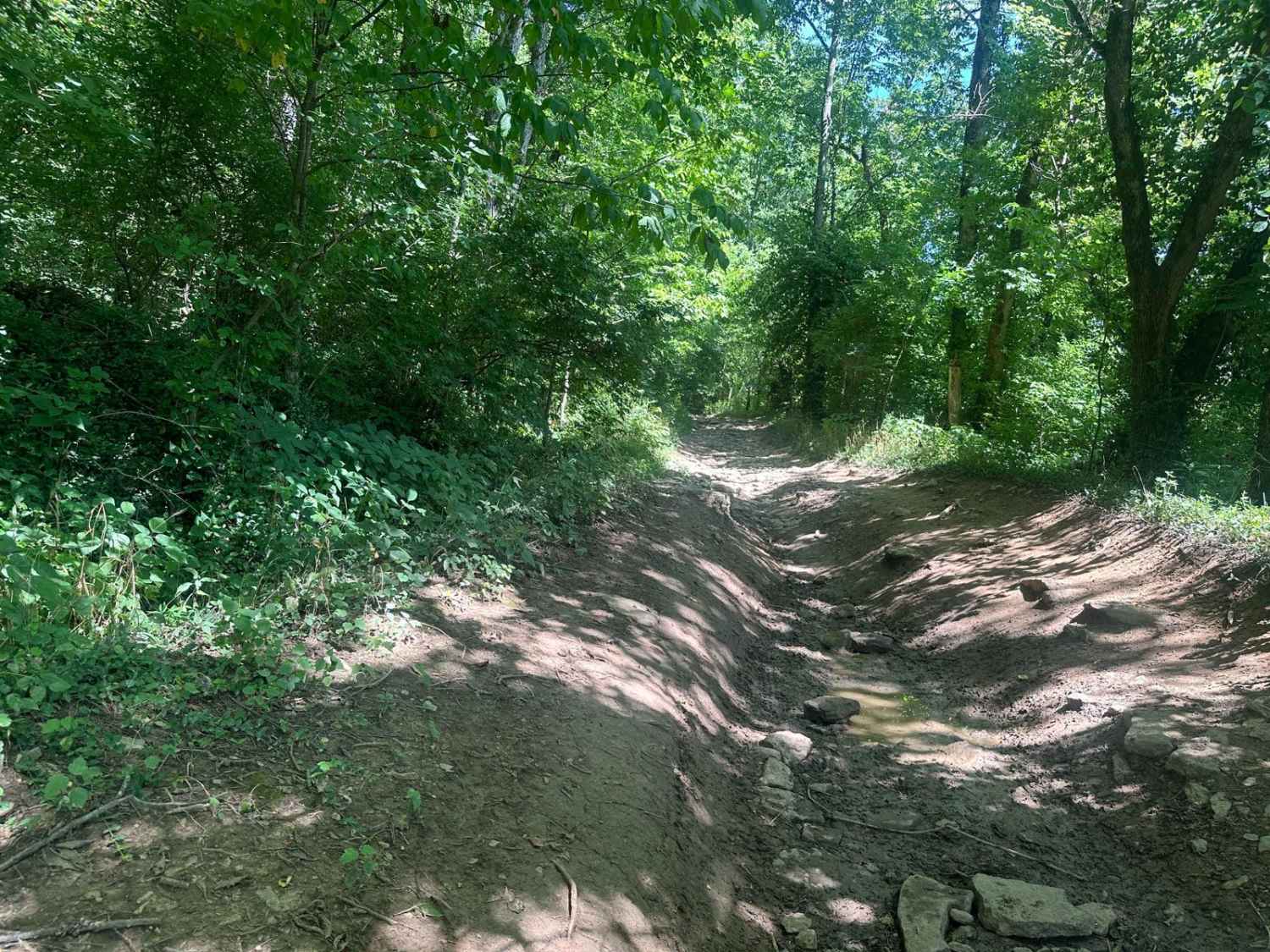 Silver Creek - Playground Area