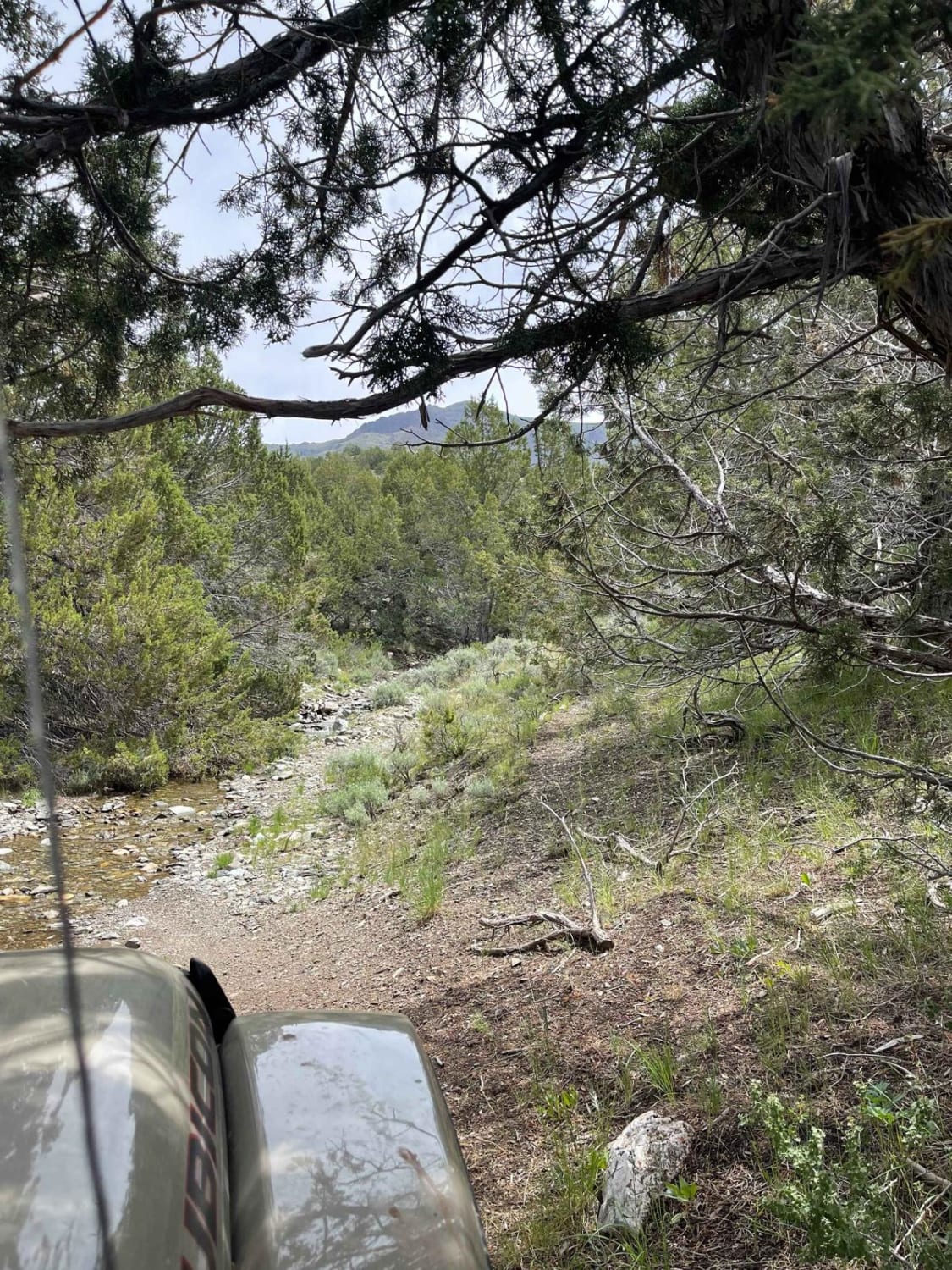 Sonoma Creek Trail