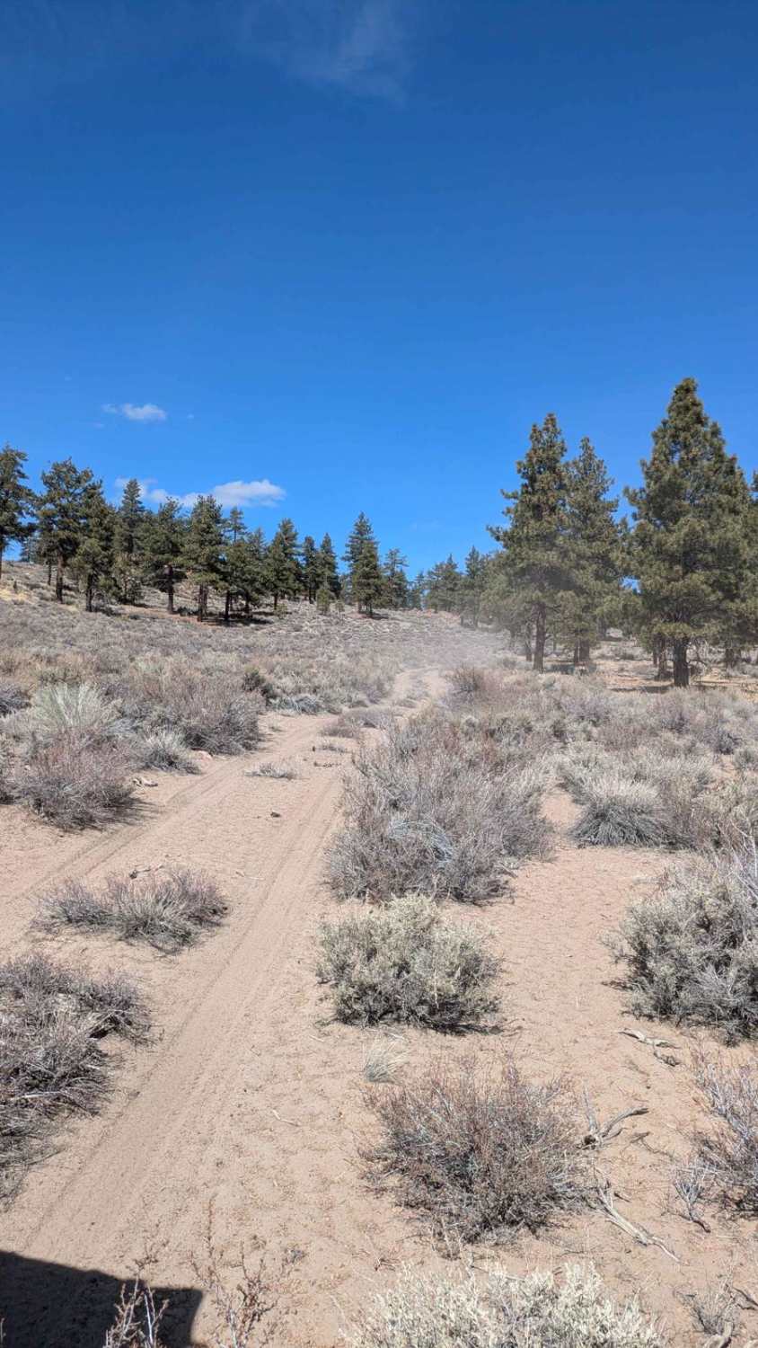 Round Mountain Loop Alternate