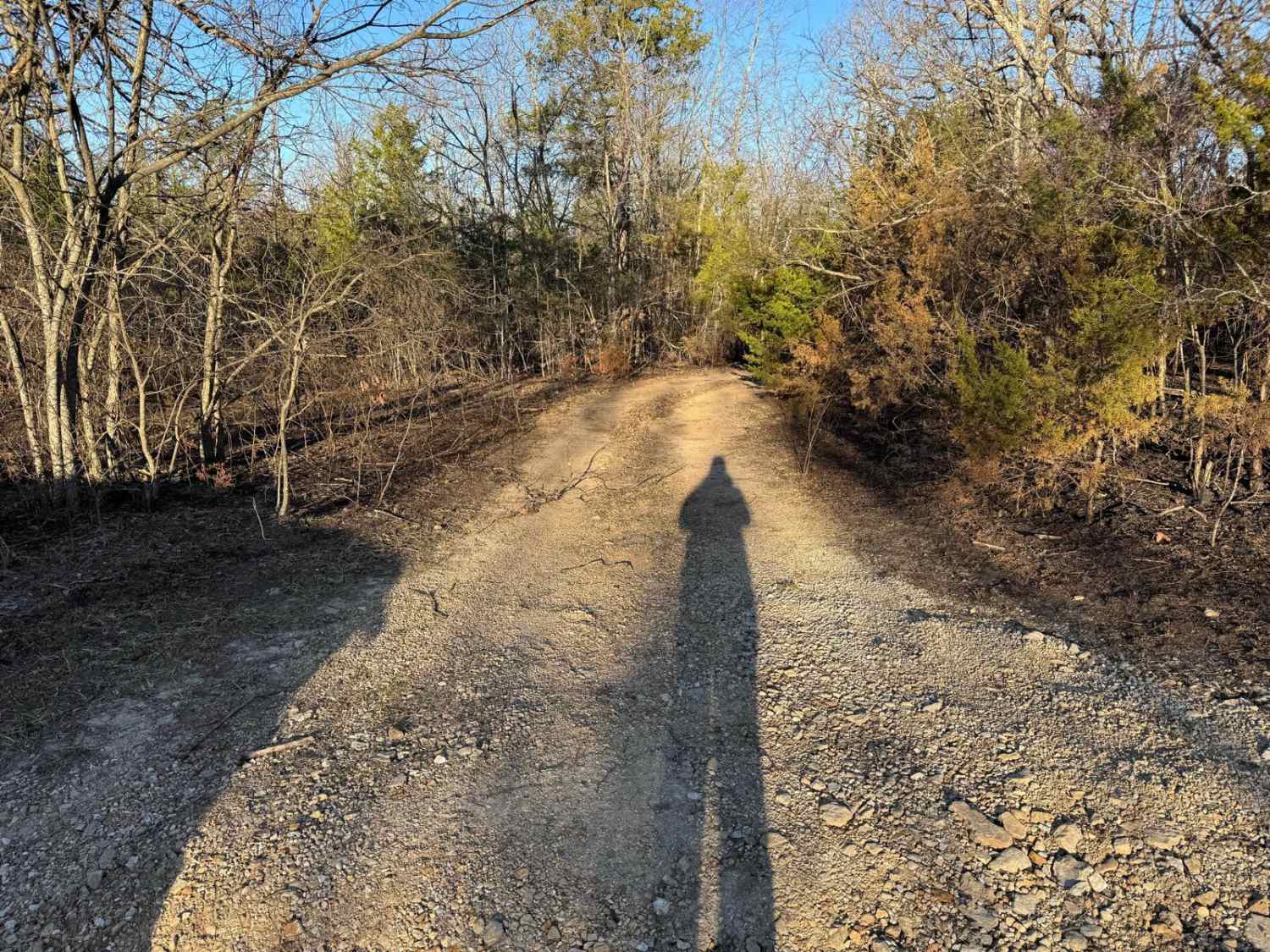 County Road 523