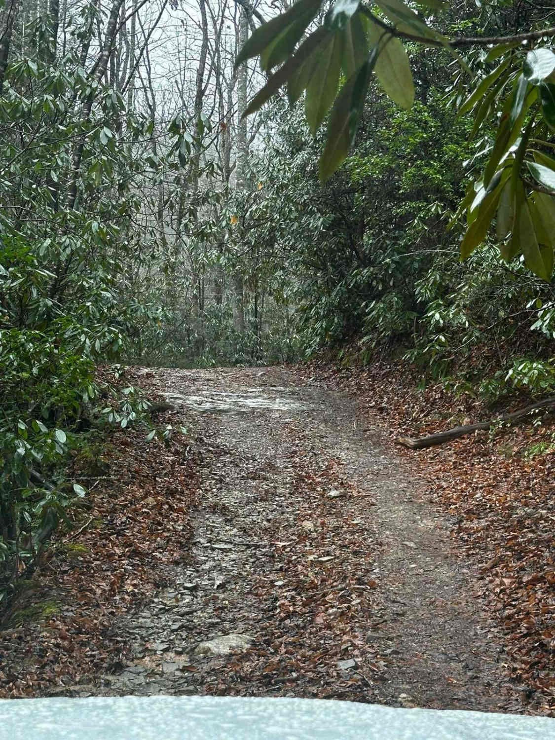 Falls Branch Road - FSR 2