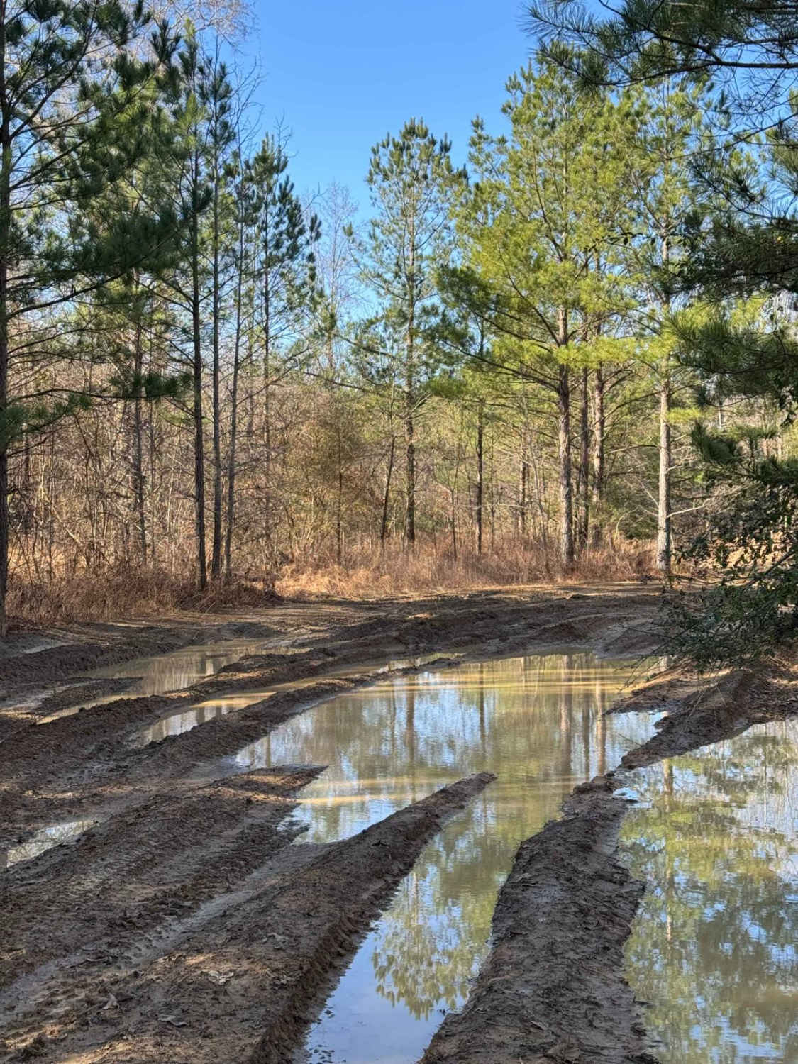 #91 Cane Creek Trail