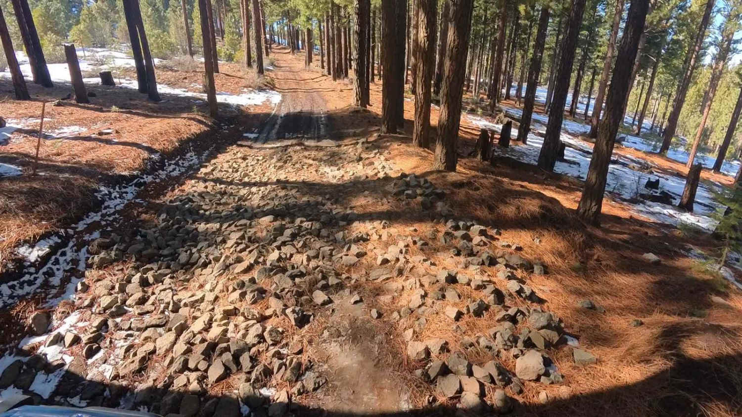 Mitchell Canyon Long Valley