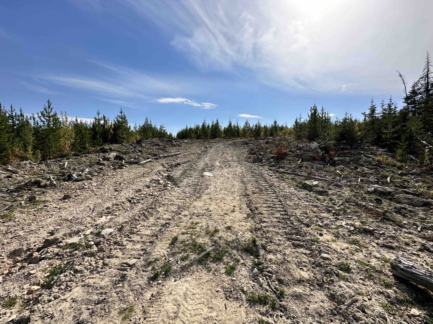 Sterling Forest Service Road