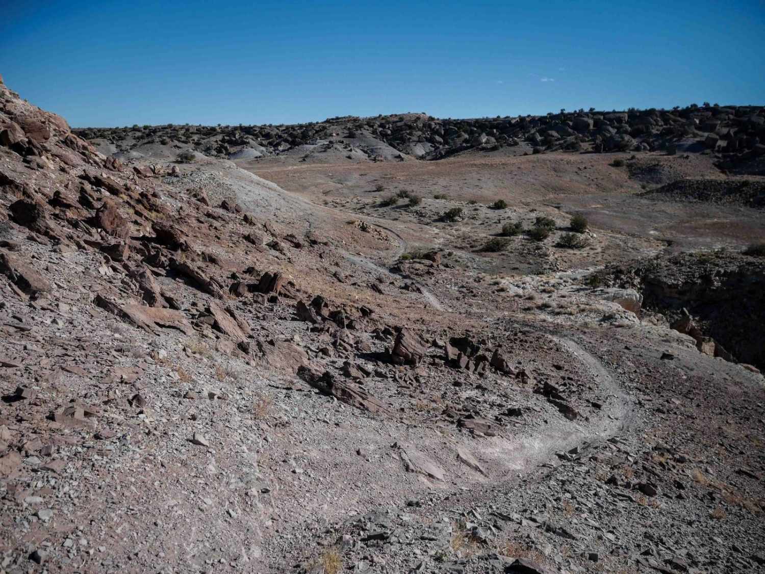 Ridge Trail 