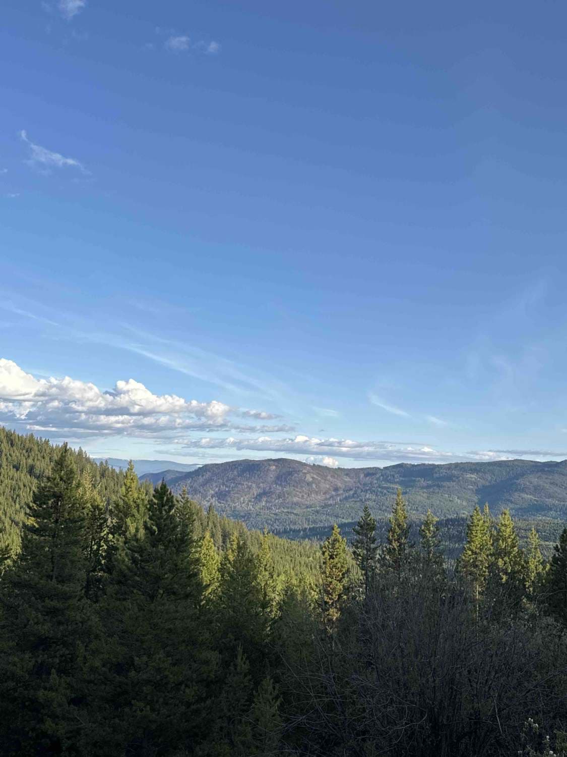 Lean To Forest Service Road