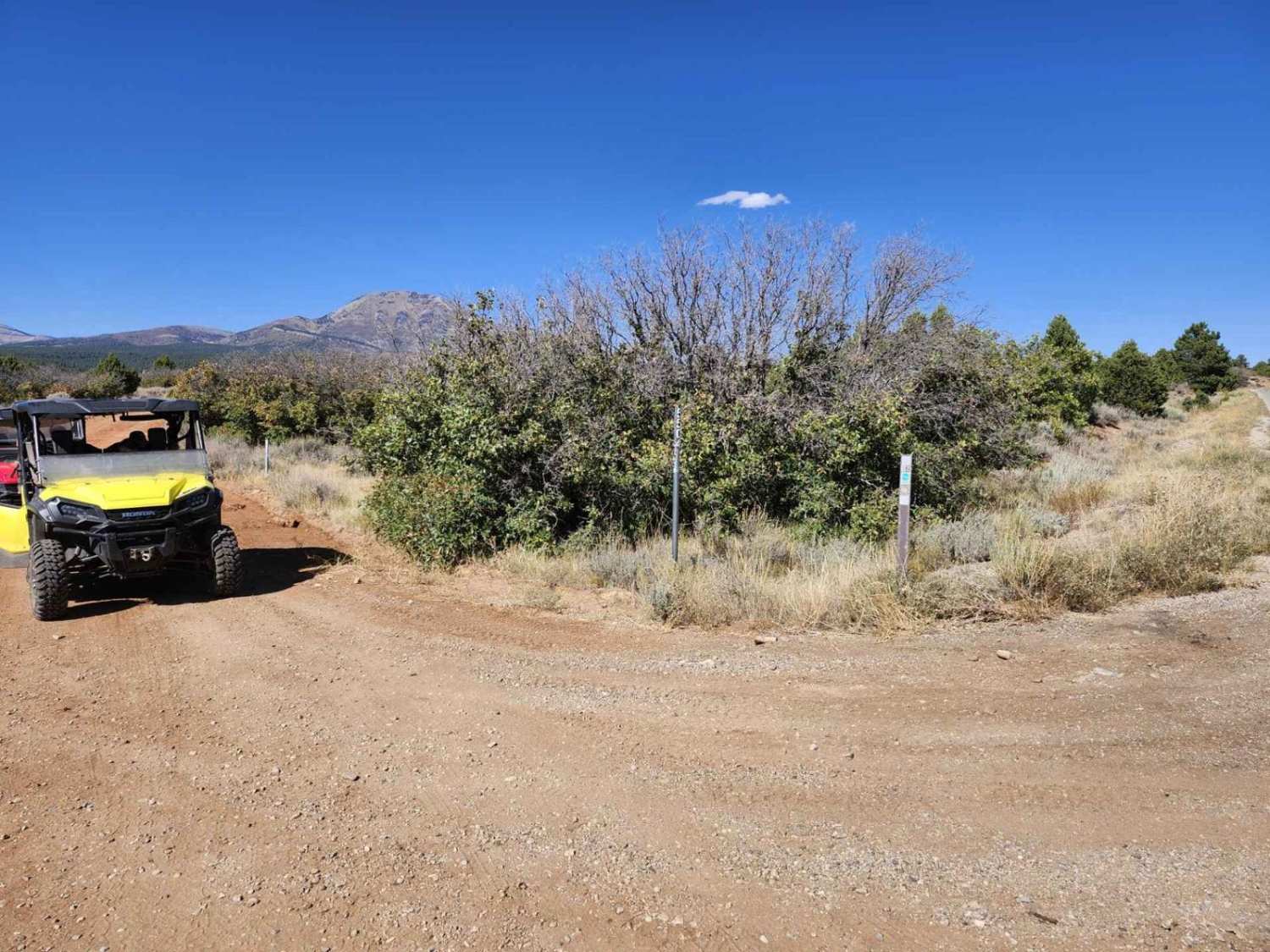 Bulldog Canyon Trail