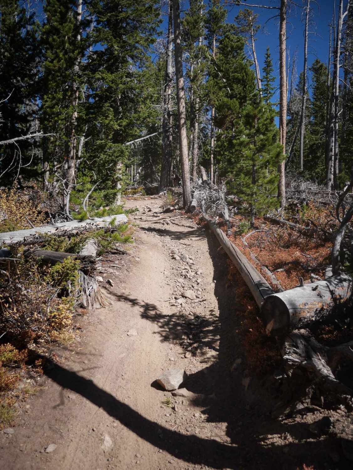 Upper Elk Creek ATV 