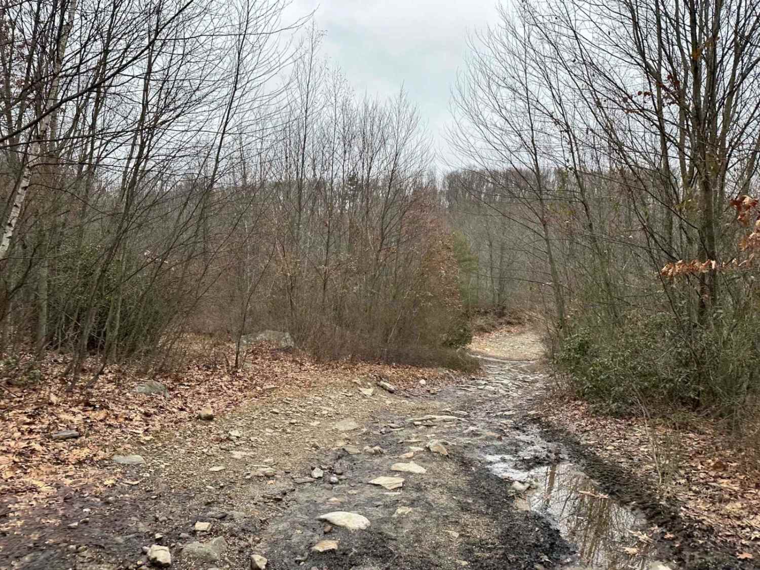 Road to Paradise