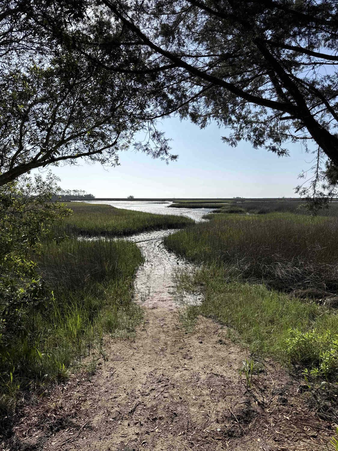 Purify Bay Road