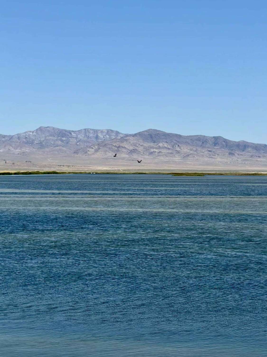 Fish Springs Auto Tour