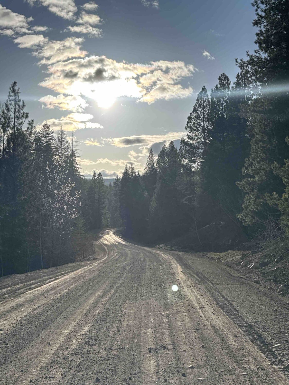 Bear Lake Main FSR
