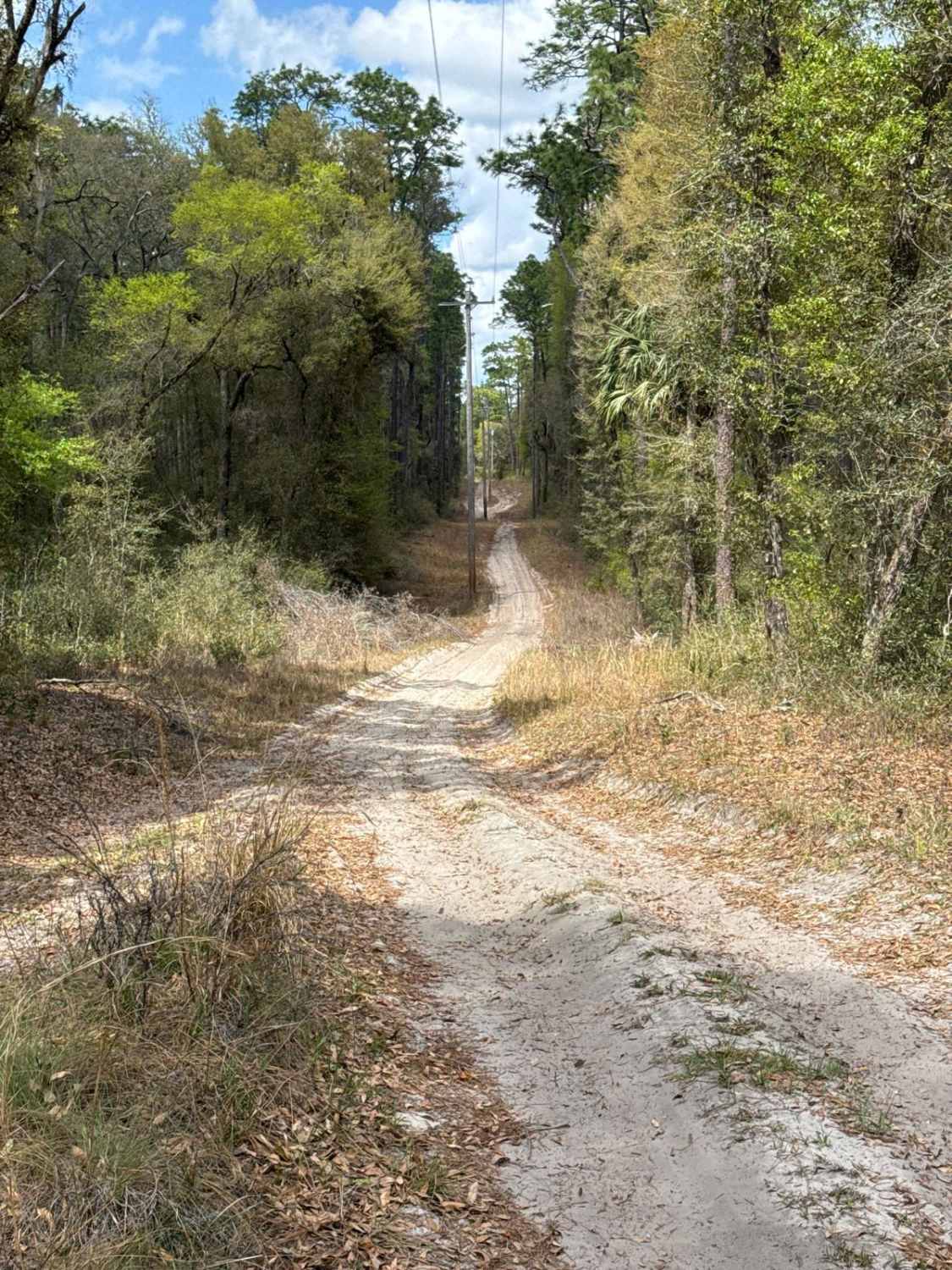 Powerline Road - NE 250th Ave Road