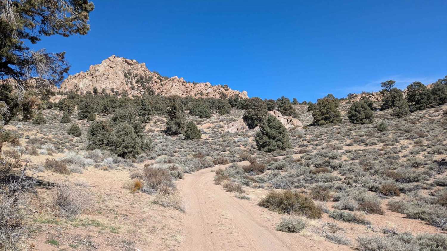 Casa Diablo Mountain FS S134