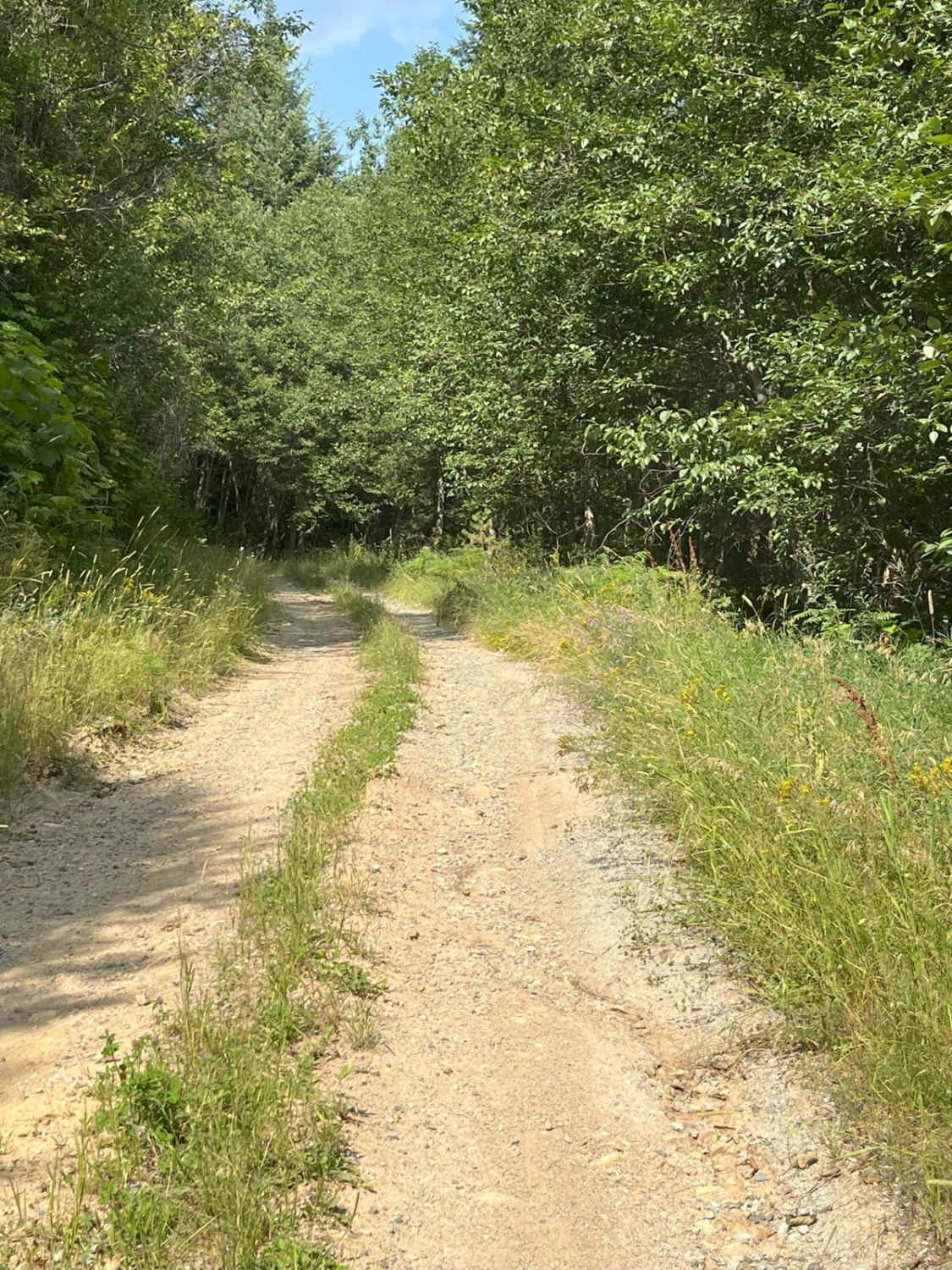 Little Meadow Creek Road