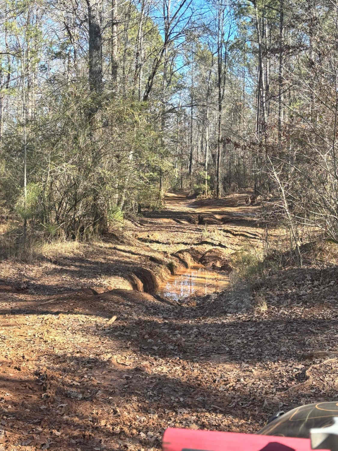 Creek Trail