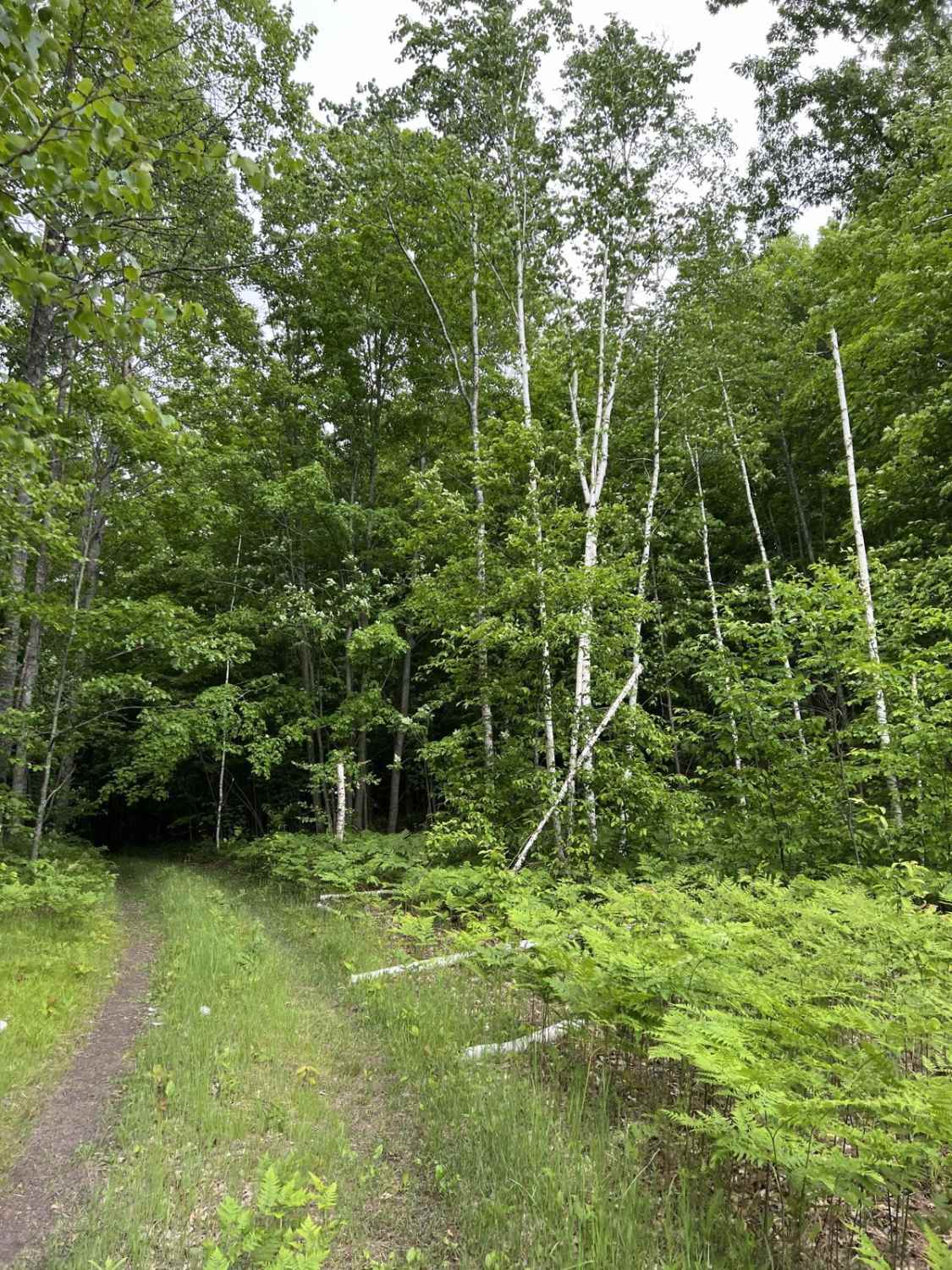 Avery Lake Sidetrack