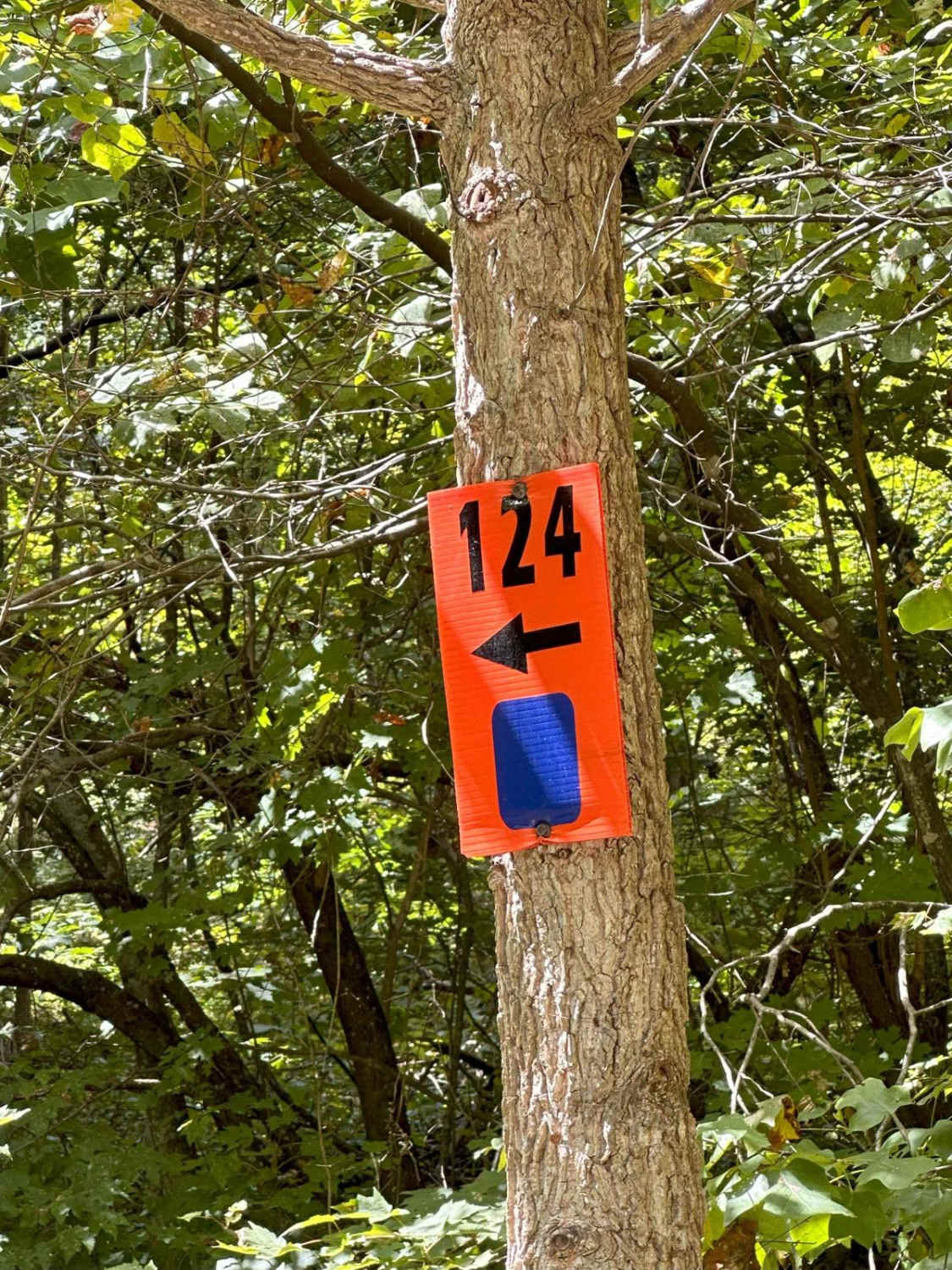124