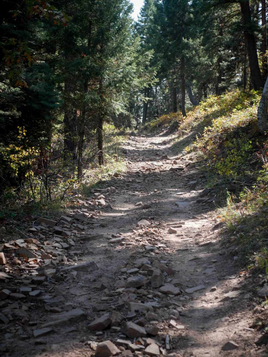 Chris Mountain 