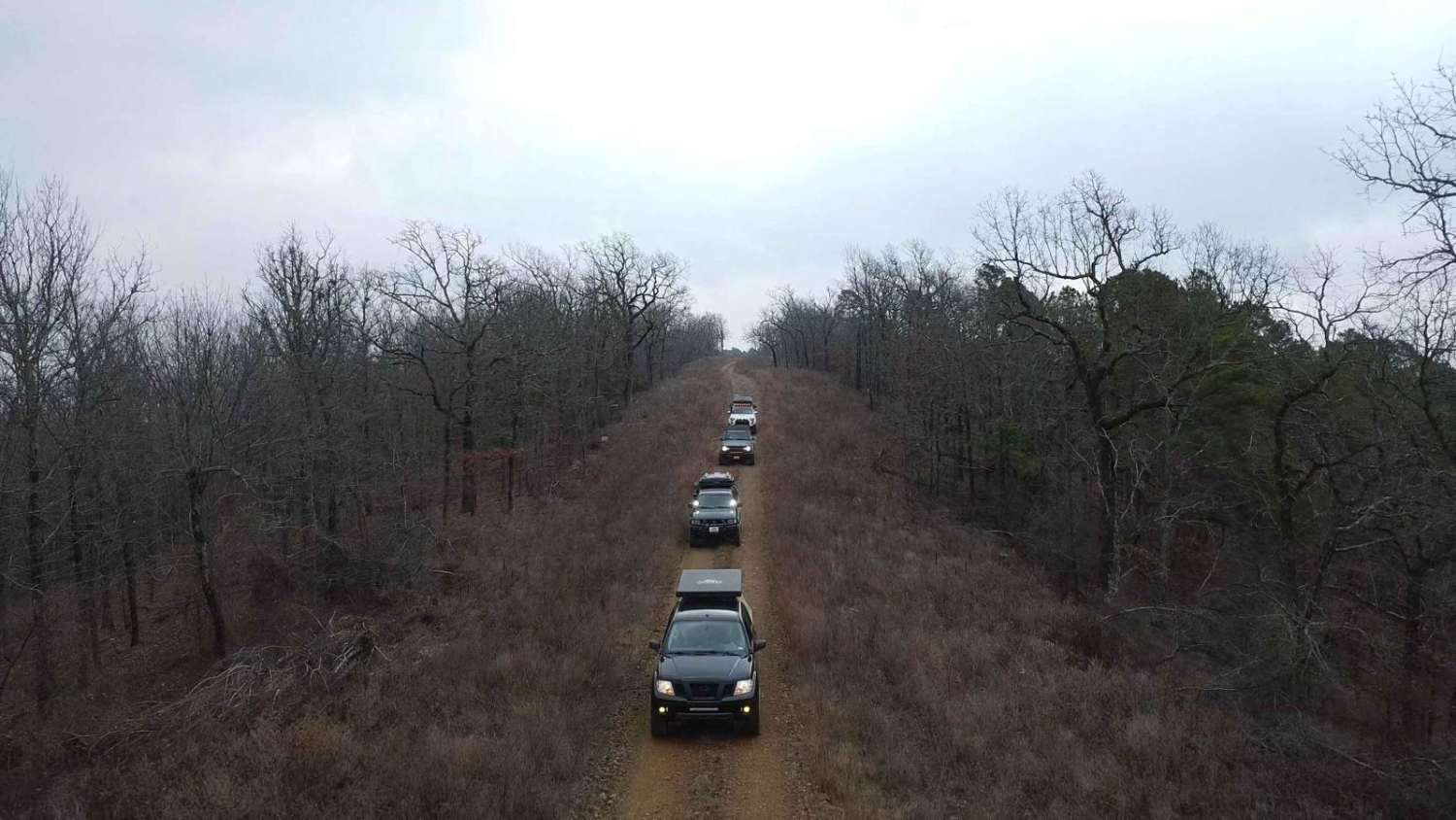 Holly Mountain Trail