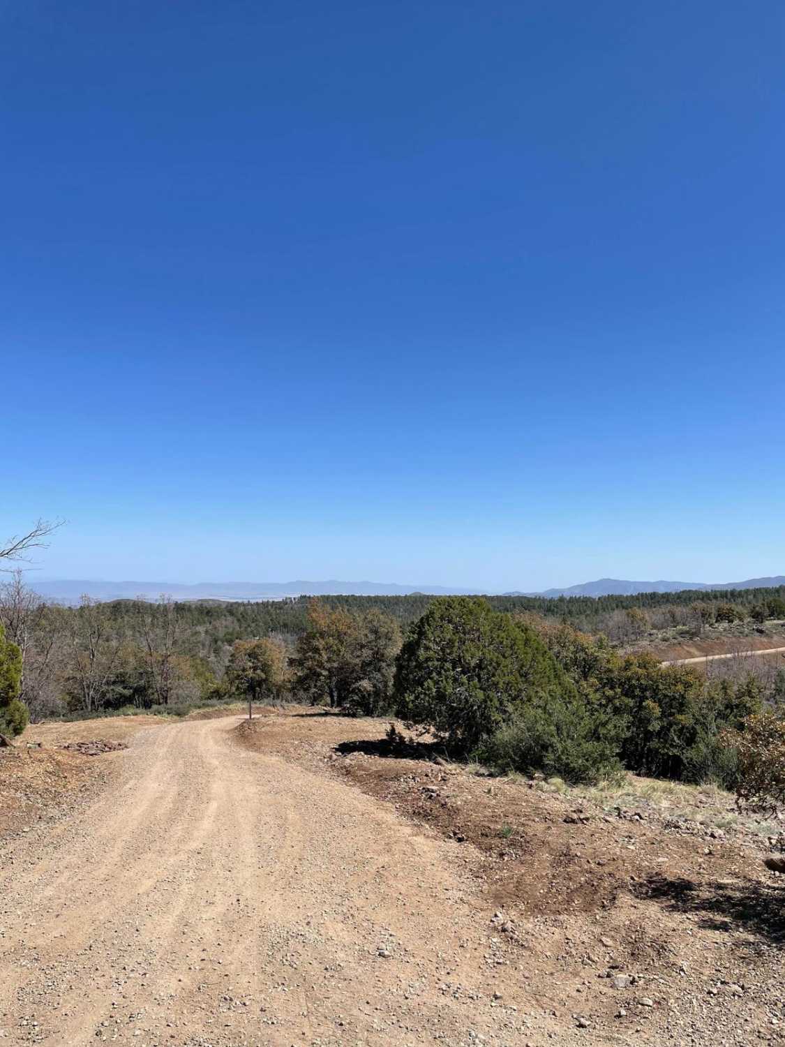 Forest Road 22 