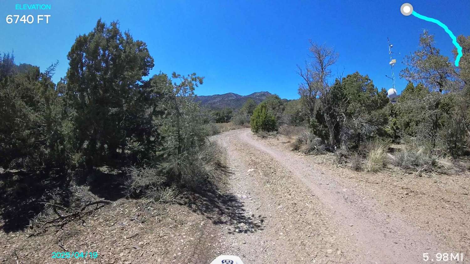 Pine Nut Road