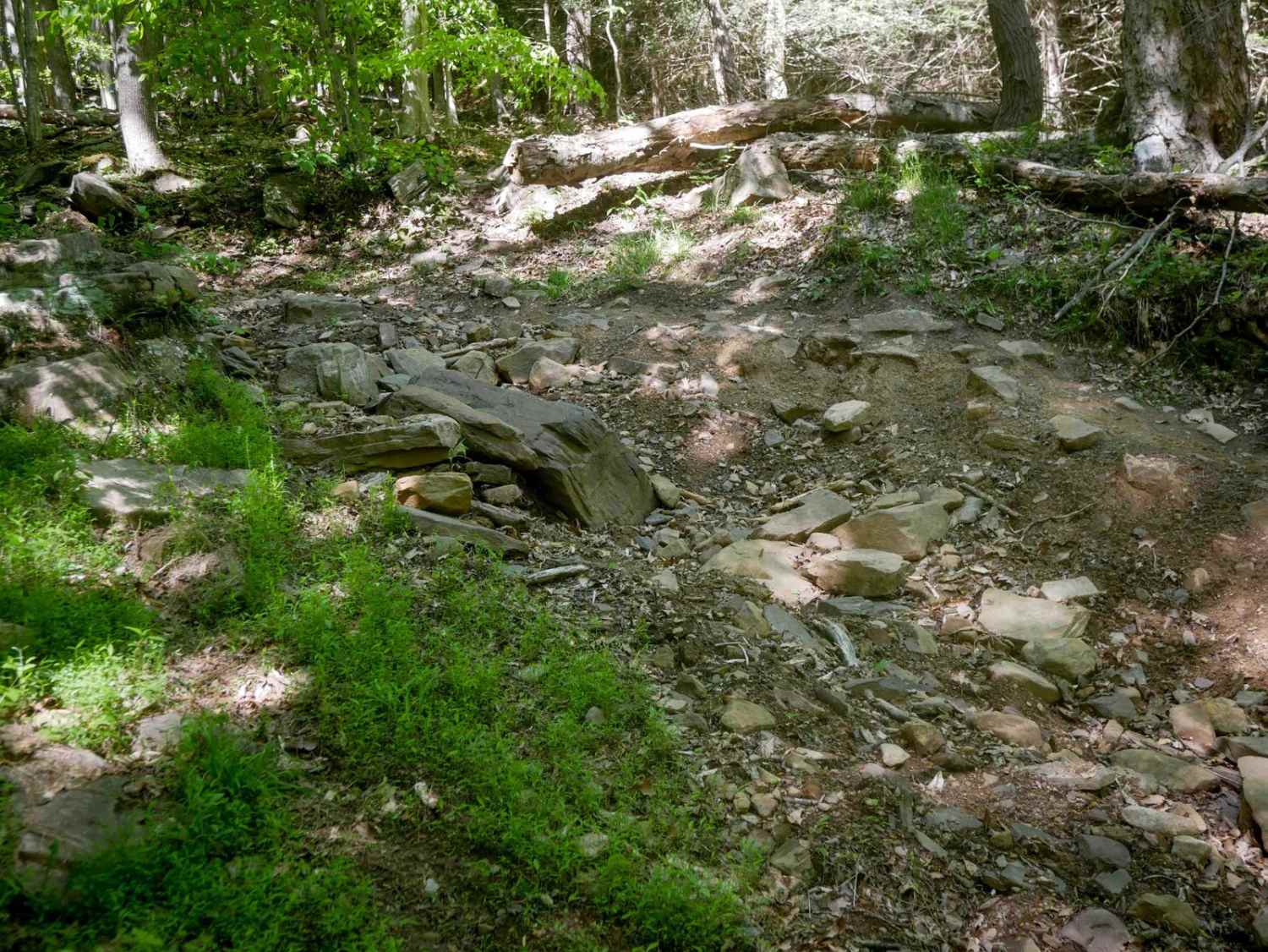 Trail 10