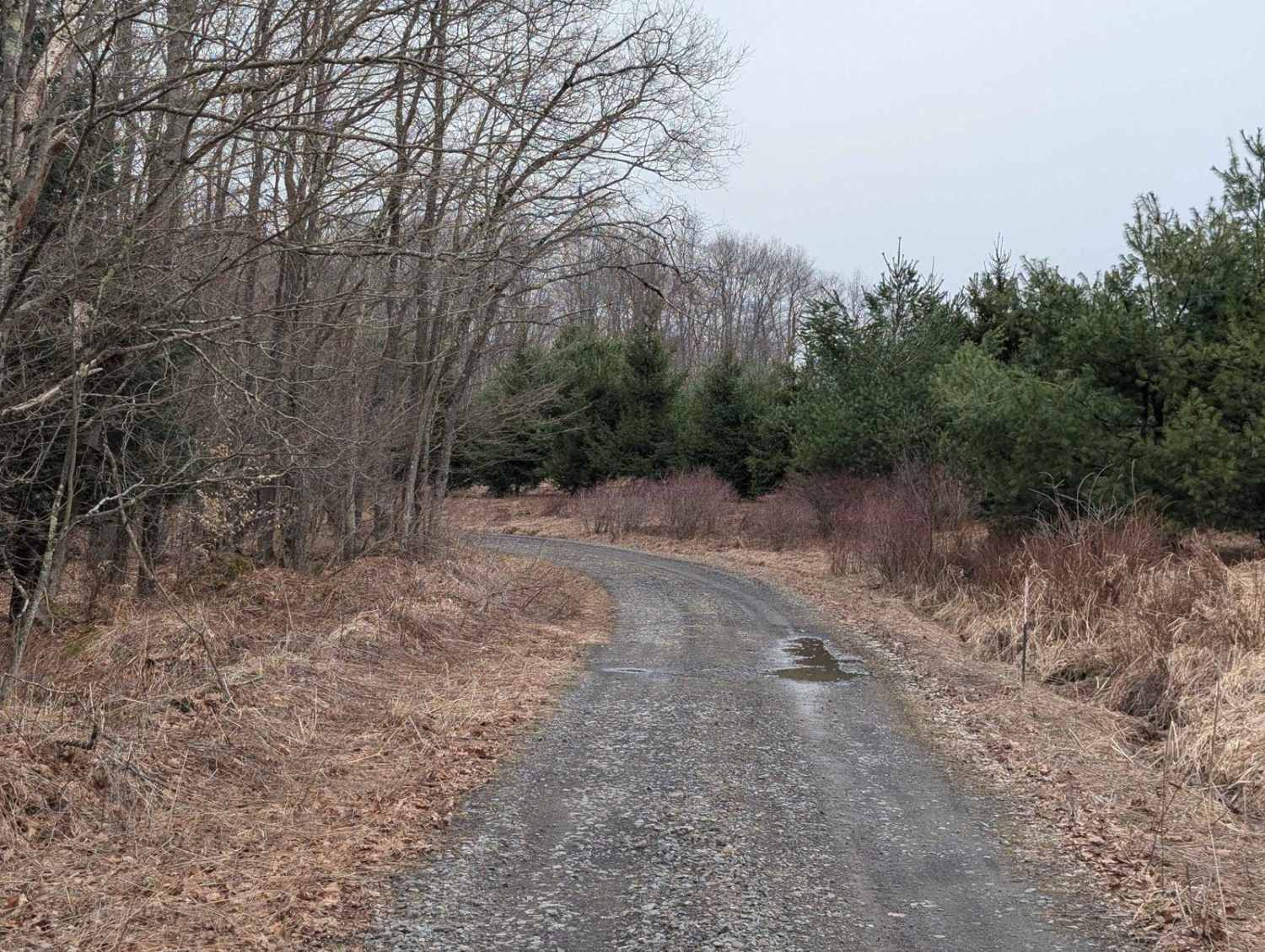 Slocum Hill Road