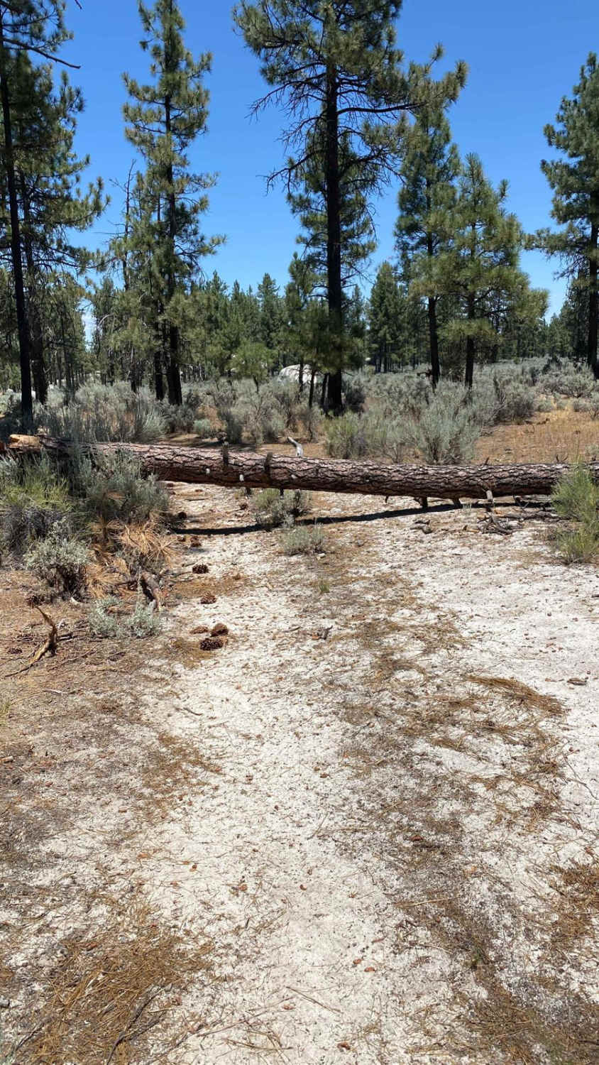 Laguna Hanson Road Detour
