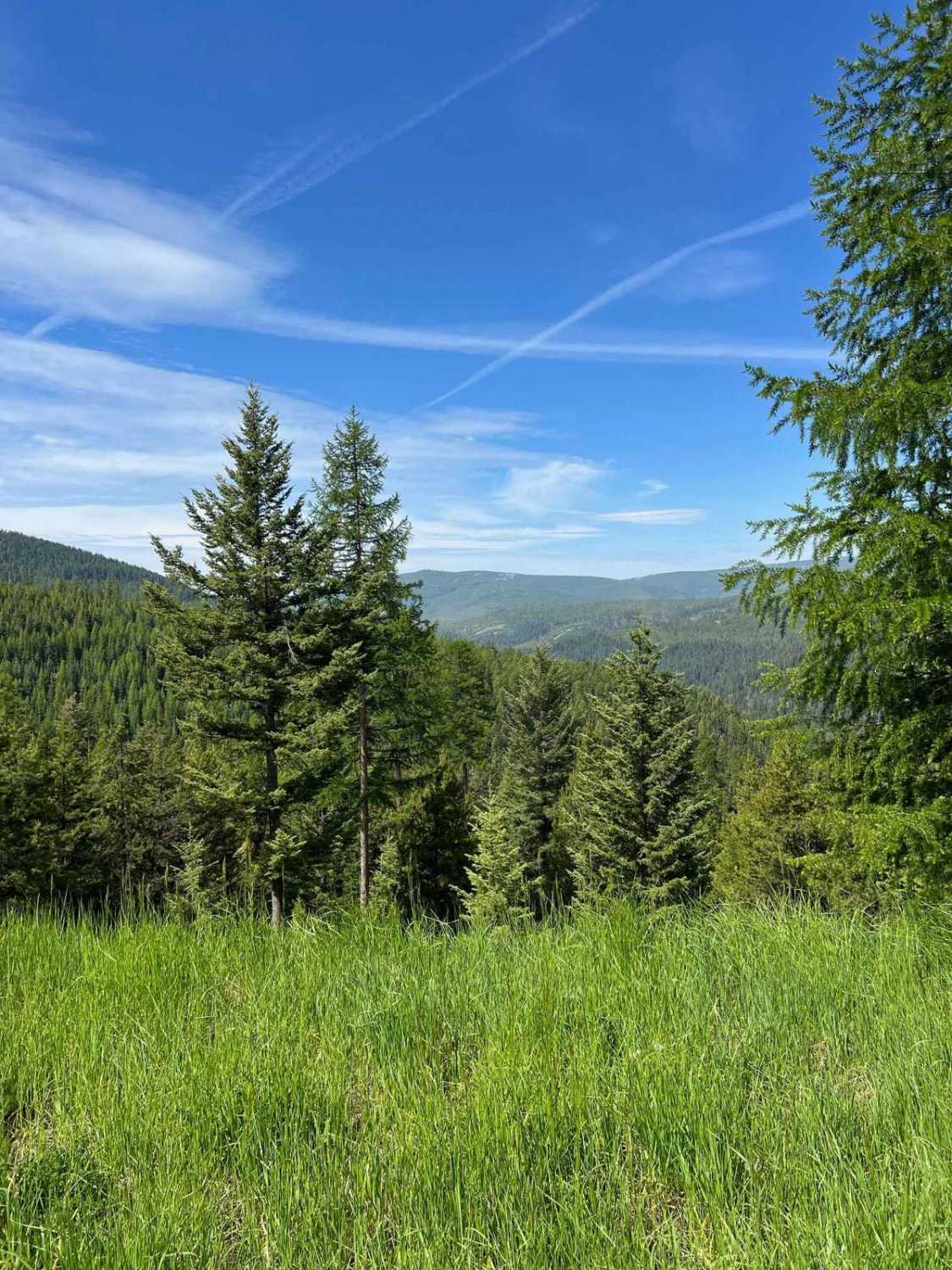 Ashley Mountain