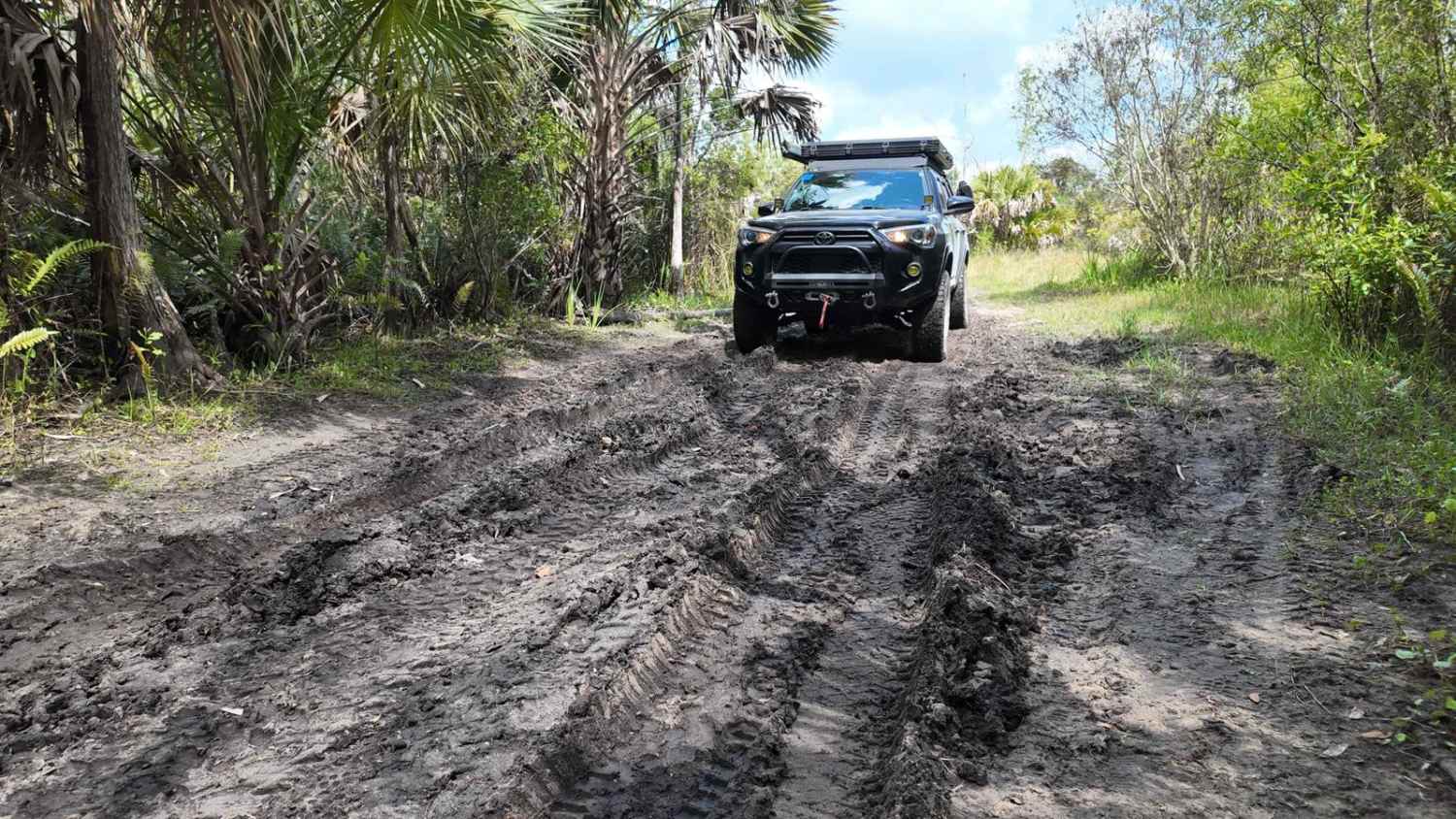 Blu 4 Trail