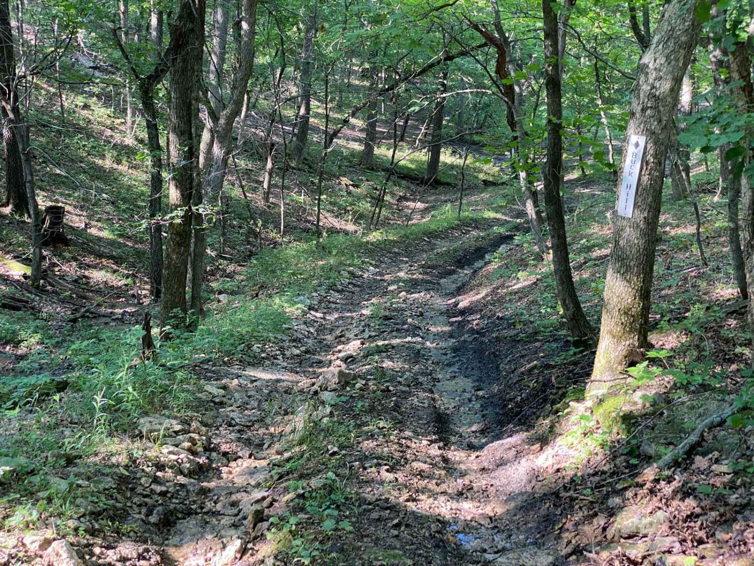 Buck Hill