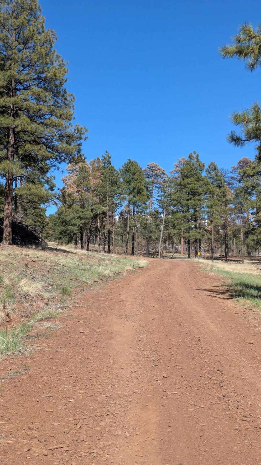 A1 Mountain Road Loop - FS 918B