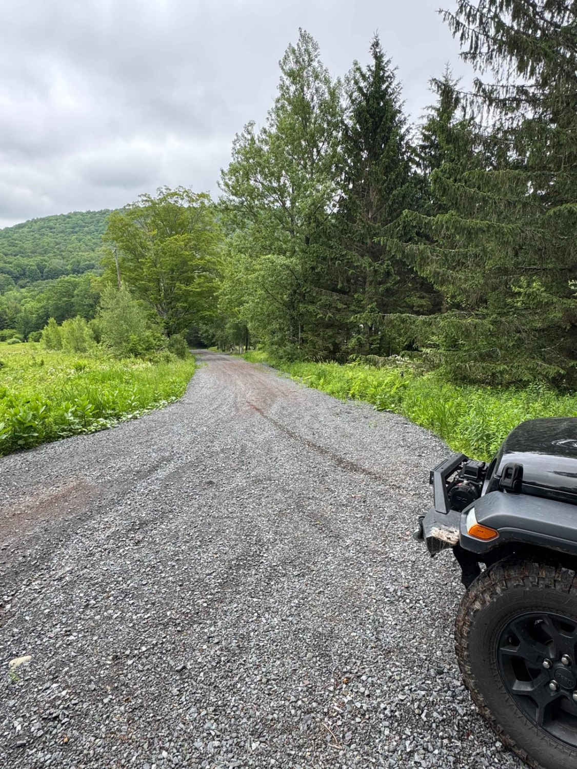 Skunk Hollow Road